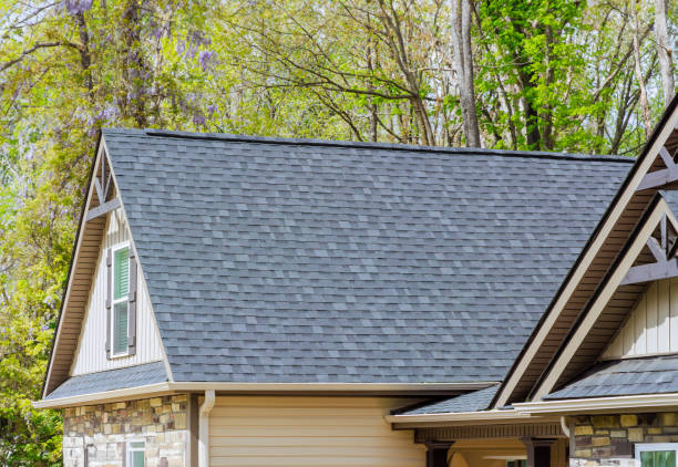 Best Roof Moss and Algae Removal  in Lakeside, VA